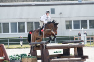 Eventing Langenfeld 2018