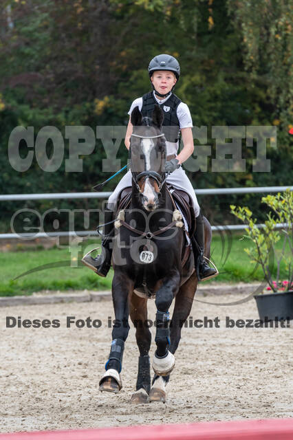 Goldene Schärpe 2020 - Pferde