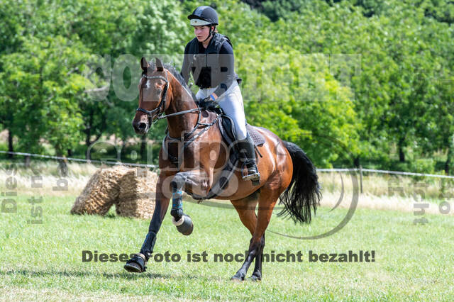 Bonn-Rodderberg Late-Entry-Vielseitigkeit (30.06.2020)