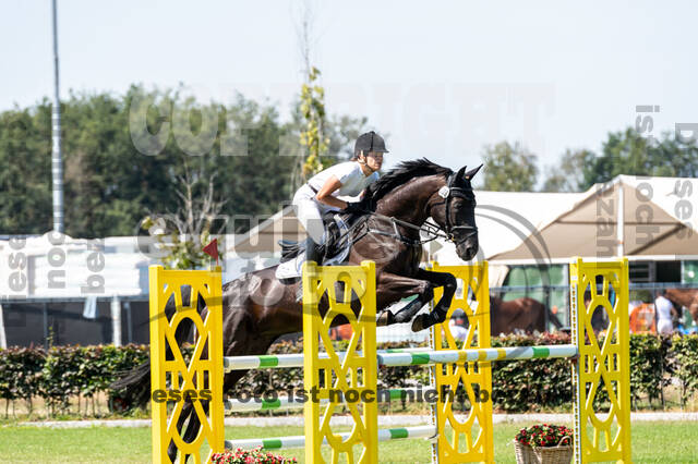 Kronenberg - De Peelbergen (August 2020)