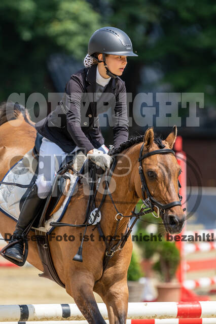 Goldene Schärpe 2021 - Ponys