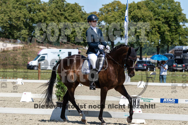 Kronenberg - De Peelbergen (August 2020)