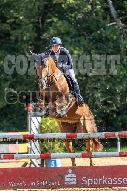 RFV Dinslaken-Hiesfeld (Herbstturnier)