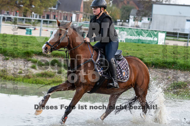 IGV Lehrgang der Sieger der Cups mit Frank Ostholt