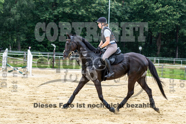 Hunter Geländetraining 10.07.2021 (Sonsbeck)