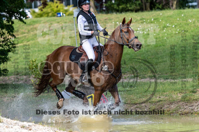 Late-Entry-Vielseitigkeit Langenfeld (11.+13./14.06.2020)