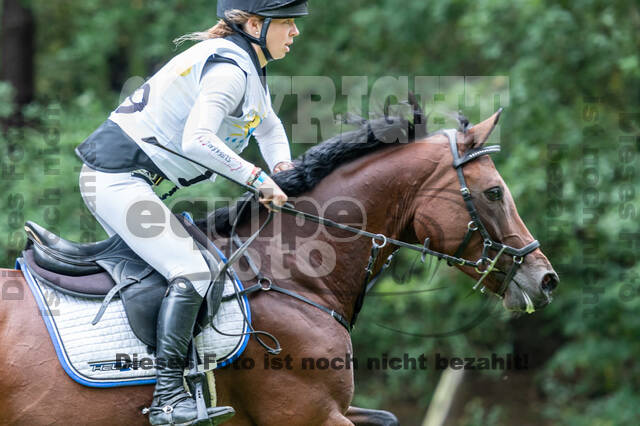 Vielseitigkeit RSV Wesel Obrighoven (26.+27.09.2020)