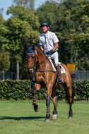 Kronenberg - De Peelbergen (August 2020)