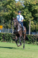 Kronenberg - De Peelbergen (August 2020)