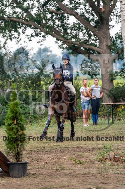 De Peelbergen (August 2020)