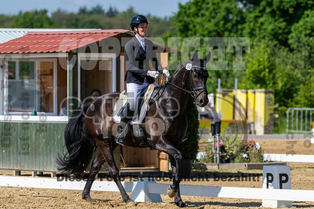 Westerstede Horse Trials 2021