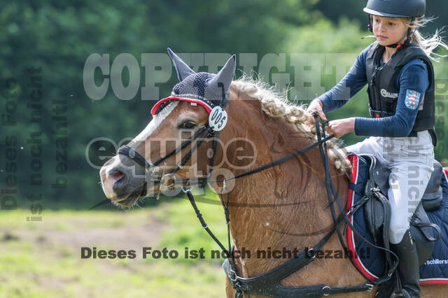 Goldene Schärpe 2021 - Ponys