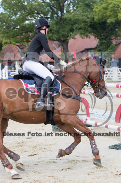 Sterne über Münster 2019 - CCI***S