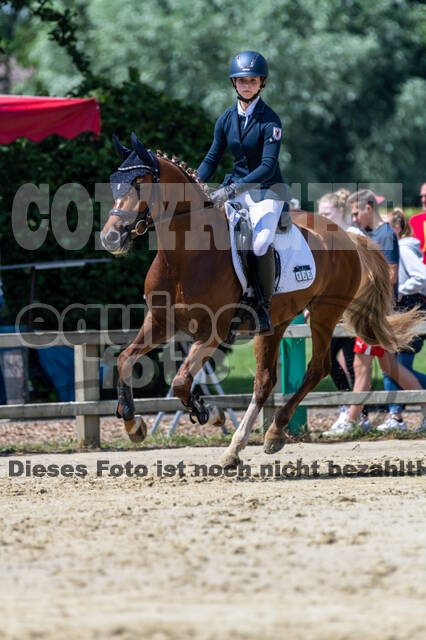 Goldene Schärpe 2021 - Ponys