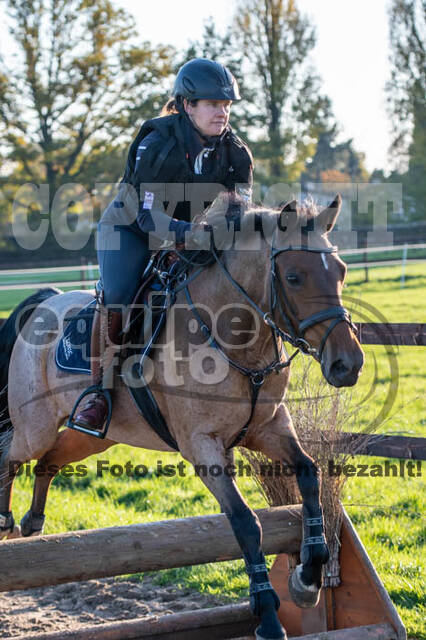 Vielseitigkeitslehrgang mit Jürg Kurbel (9.+10.11.2019)