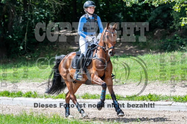 Late-Entry-Vielseitigkeit Langenfeld (06.+07.07.2020)