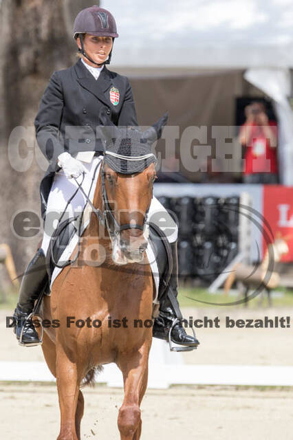 FEI European Championship Eventing 2017