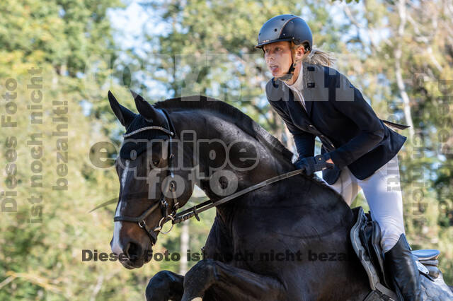 RFV Dinslaken-Hiesfeld (Herbstturnier)