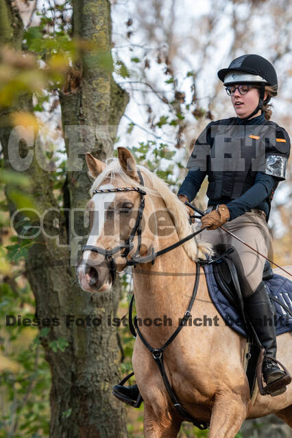 IGV Lehrgang der Sieger der Cups mit Frank Ostholt