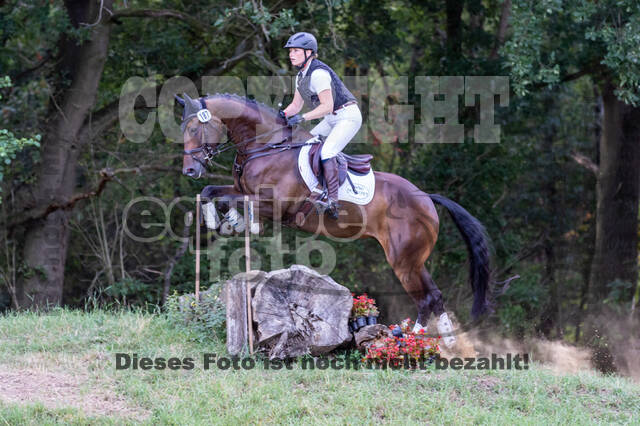 Late-Entry Vielseitigkeit Hamminkeln/Wesel (01.+02.08.2020)