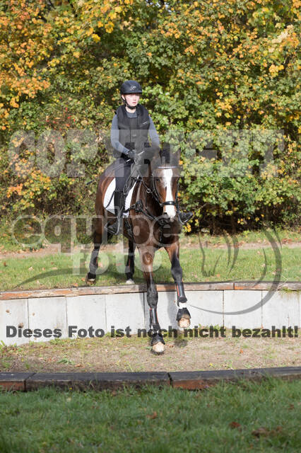 IGV Lehrgang der Sieger der Cups mit Frank Ostholt