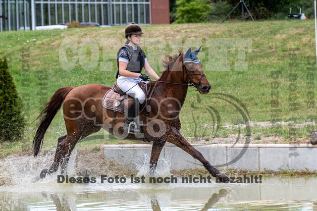 Late-Entry-Vielseitigkeit Langenfeld (11.+13./14.06.2020)