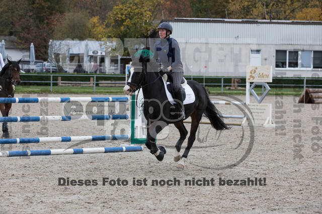 IGV Lehrgang der Sieger der Cups mit Frank Ostholt