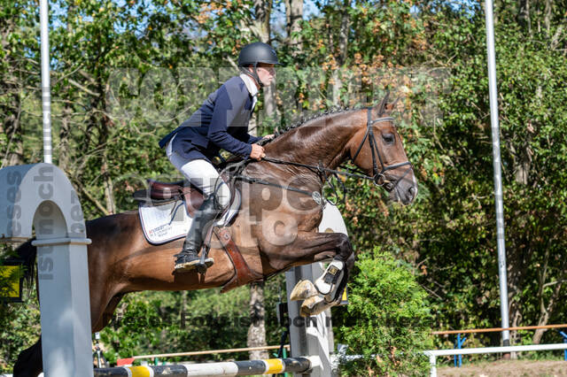 RFV Dinslaken-Hiesfeld (Herbstturnier)