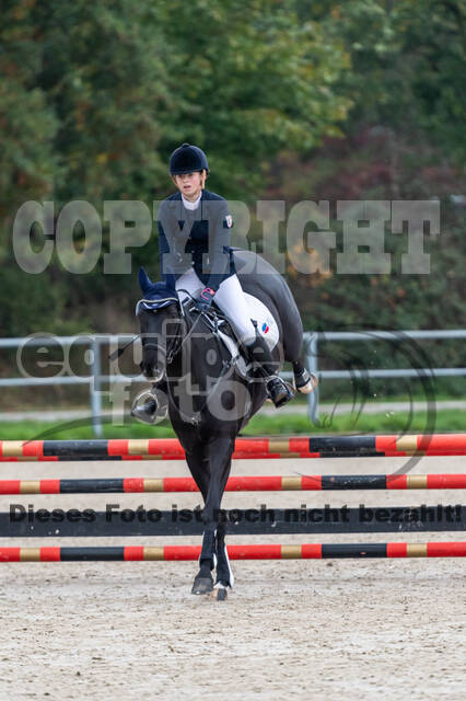 Reiter Schleswig-Holstein