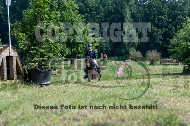 Goldene Schärpe 2021 - Ponys