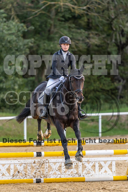 RFV Dinslaken-Hiesfeld (Herbstturnier)
