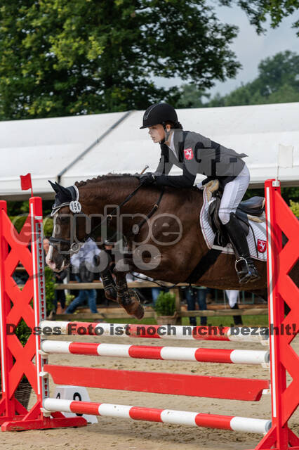 Goldene Schärpe 2021 - Ponys