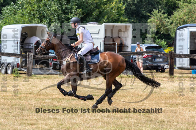 Late-Entry Vielseitigkeit Hamminkeln/Wesel (01.+02.08.2020)