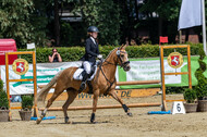 Goldene Schärpe 2021 - Ponys