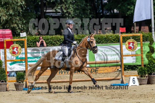 Goldene Schärpe 2021 - Ponys