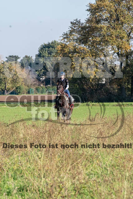 Vielseitigkeitslehrgang mit Jürg Kurbel (9.+10.11.2019)