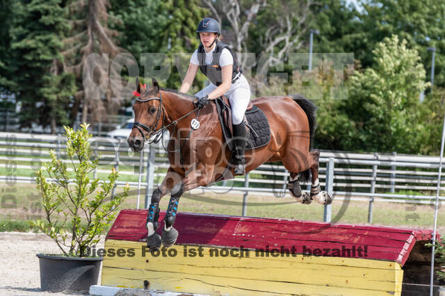 Late-Entry-Vielseitigkeit Langenfeld (06.+07.07.2020)