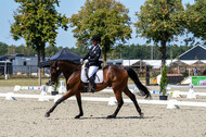 Kronenberg - De Peelbergen (August 2020)