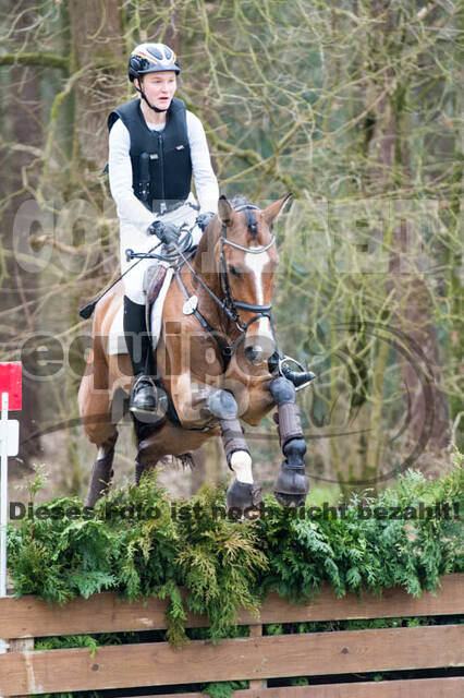 Jungpferdetag Hamminkeln