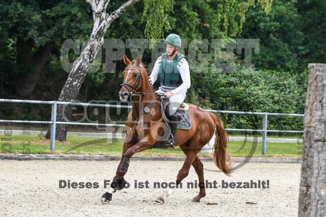 Late-Entry-Vielseitigkeit Langenfeld (11.+13./14.06.2020)