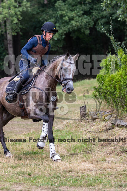 Late-Entry Vielseitigkeit Hamminkeln/Wesel (01.+02.08.2020)