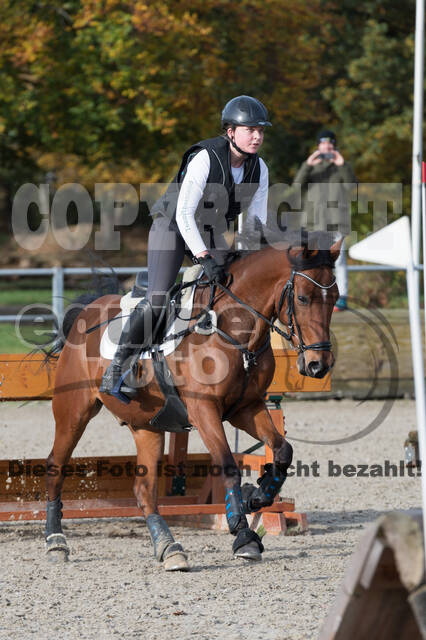 IGV Lehrgang der Sieger der Cups mit Frank Ostholt