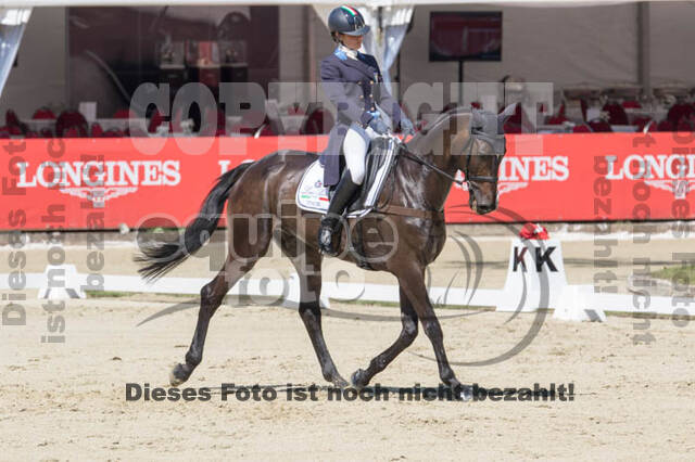 FEI European Championship