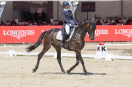 FEI European Championship