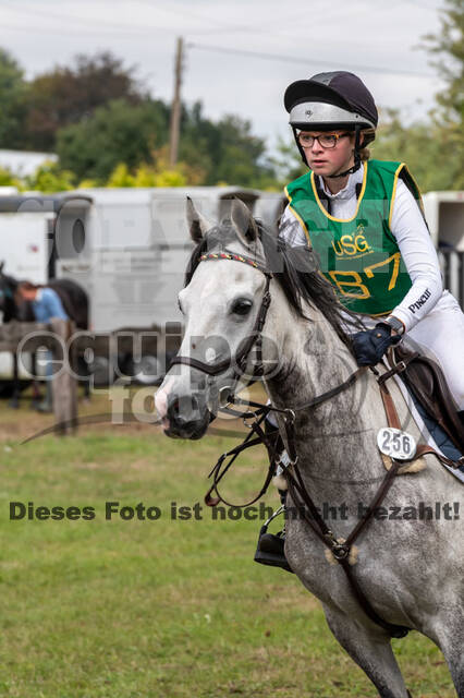 Vielseitigkeit RSV Wesel Obrighoven (26.+27.09.2020)