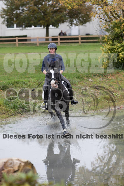 IGV Lehrgang der Sieger der Cups mit Frank Ostholt