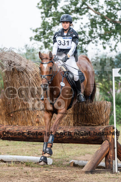 De Peelbergen (August 2020)