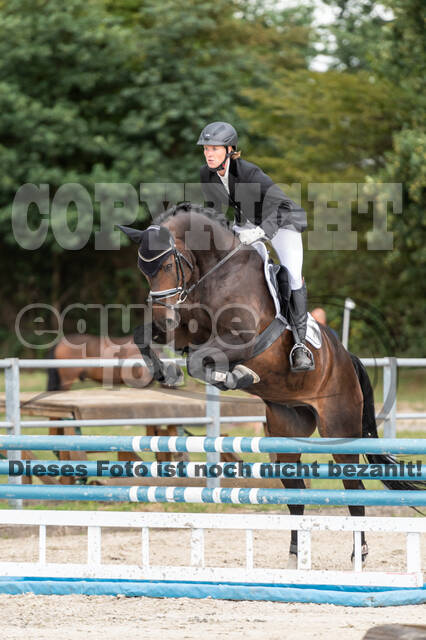 Landesturnier Rheinland, Vielseitigkeit, 22.+23.08.2020