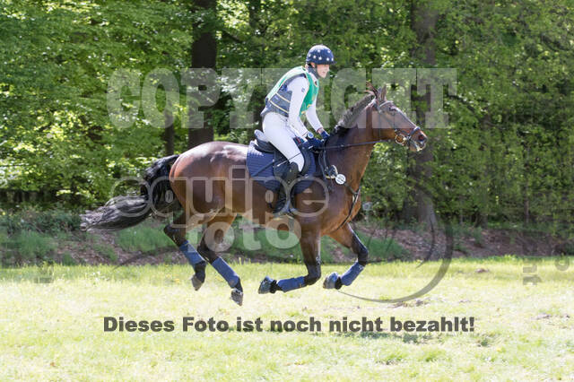 Sterne über Münster 2019 - CCI***S