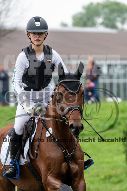 Goldene Schärpe 2020 - Pferde